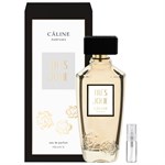 PIERRE CARDIN by Pierre Cardin - Cologne / Eau De Toilette Spray 240 ml - for men