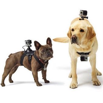 Puluz® GoPro Hero Chest Belt for Dogs