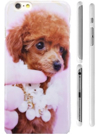TipTop cover mobile (Small poodle)