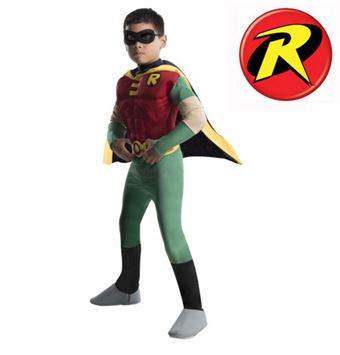 Robin Costume