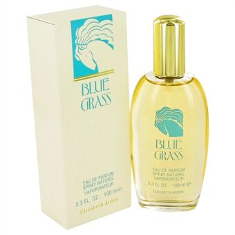 Blue Grass by Elizabeth Arden - Eau De Parfum Spray 100 ml - for women