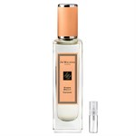 PIERRE CARDIN by Pierre Cardin - Cologne / Eau De Toilette Spray 240 ml - for men