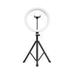 PULUZ 26cm RGBW Light + 1.65m Tripod Mount Curved Surface USB RGBW Dimmable LED Ring Vlogging Video Light Live Broadcast Kits with Cold Shoe Tripod Ball Head & Phone Clamp & Remote Control (Black)