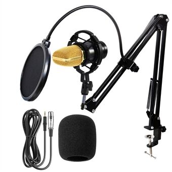BM-700 Condenser Microphone Set Universal Recording Microphone
