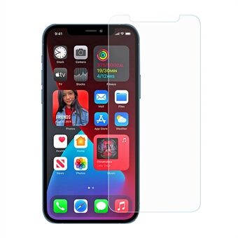 Matte Surface Tempered Glass Screen Protector Film for iPhone 12 mini 5.4 inch