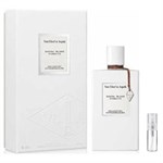 PIERRE CARDIN by Pierre Cardin - Cologne / Eau De Toilette Spray 240 ml - for men